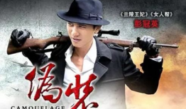 伪装电视剧,一场跨越时空的伪装大戏